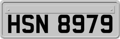 HSN8979