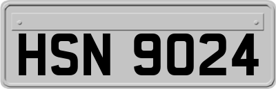 HSN9024