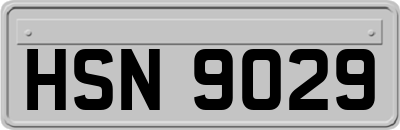 HSN9029