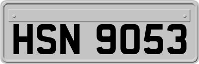 HSN9053