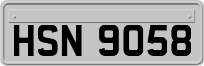 HSN9058