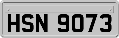 HSN9073