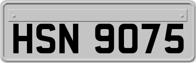 HSN9075