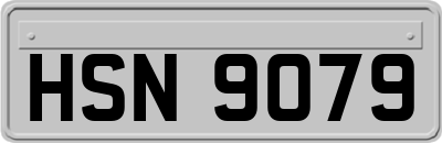 HSN9079
