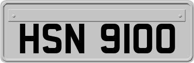 HSN9100