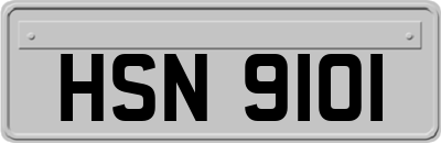 HSN9101