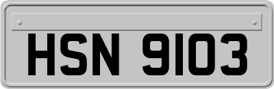 HSN9103