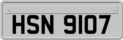 HSN9107