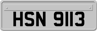 HSN9113