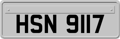 HSN9117
