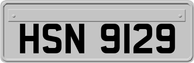 HSN9129