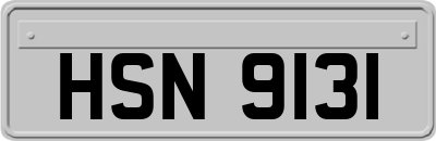 HSN9131