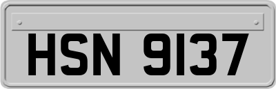 HSN9137