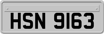 HSN9163