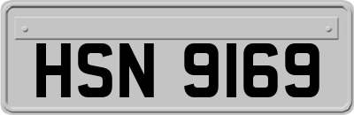 HSN9169