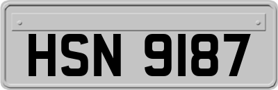 HSN9187