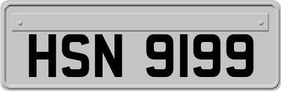 HSN9199