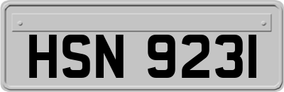 HSN9231