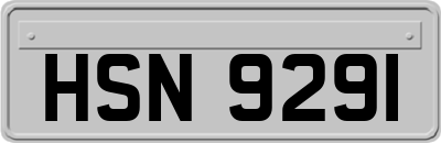 HSN9291