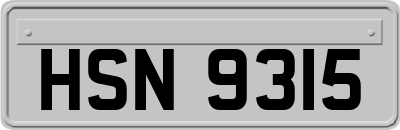 HSN9315