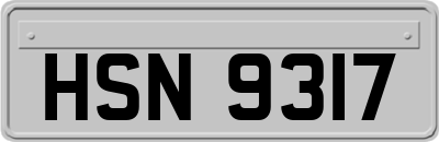 HSN9317
