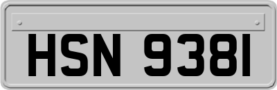 HSN9381