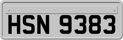 HSN9383