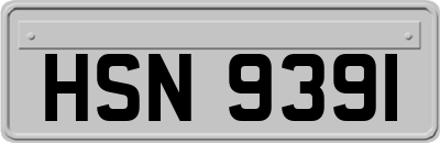 HSN9391