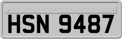 HSN9487