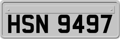 HSN9497
