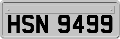 HSN9499