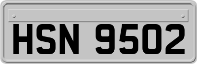 HSN9502