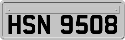 HSN9508