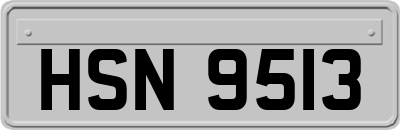 HSN9513