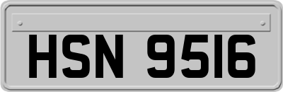 HSN9516