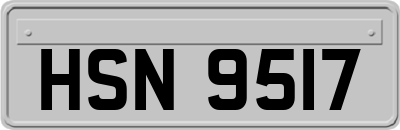 HSN9517