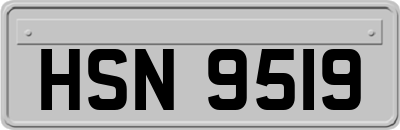 HSN9519
