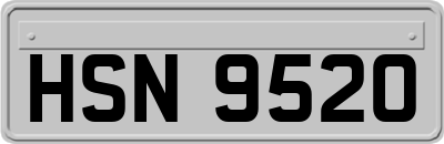 HSN9520