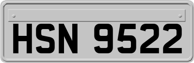 HSN9522