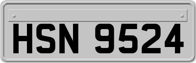 HSN9524