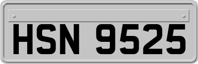 HSN9525