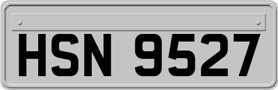 HSN9527