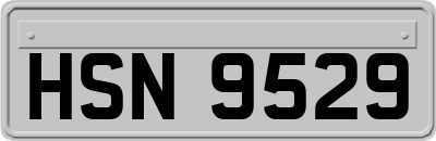 HSN9529
