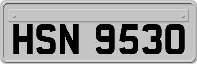 HSN9530