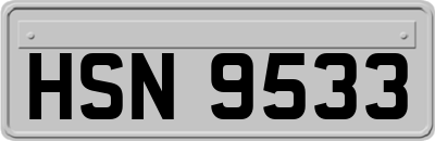 HSN9533