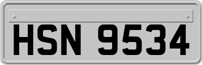 HSN9534