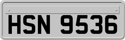 HSN9536