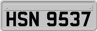 HSN9537