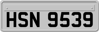 HSN9539