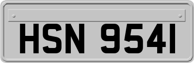 HSN9541